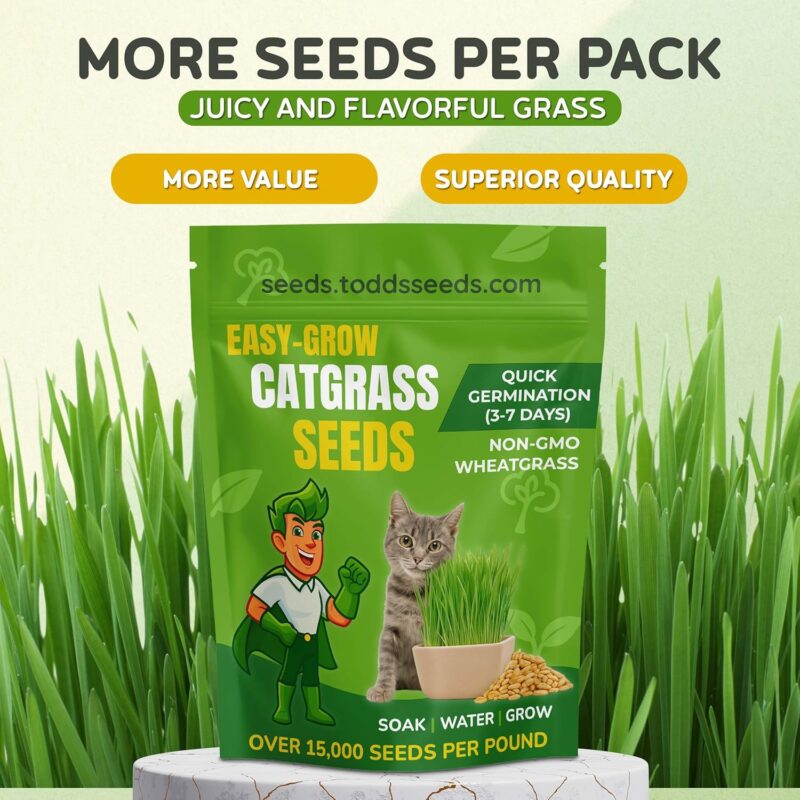 Todd's Seeds Cat Grass