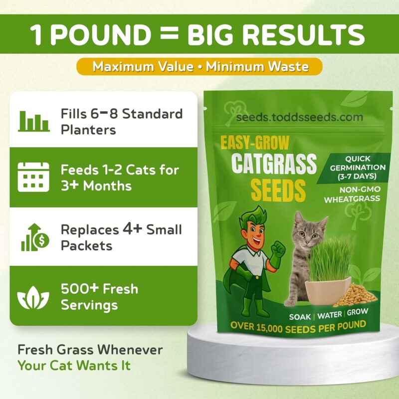 Best Catgrass Seeds - Todd's Seeds