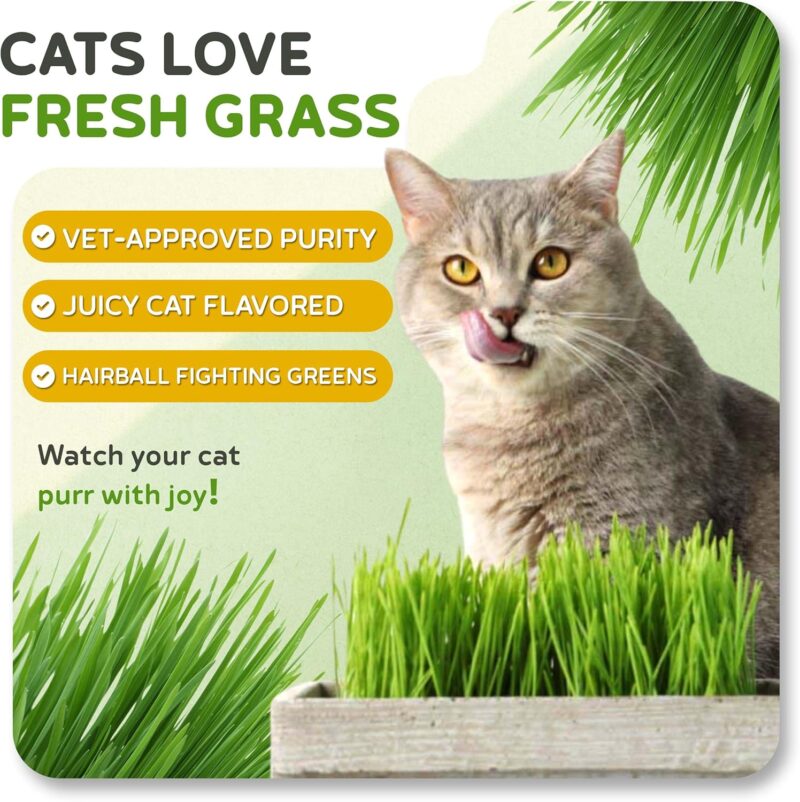 Cats Love Todd's Seeds Cat Grass