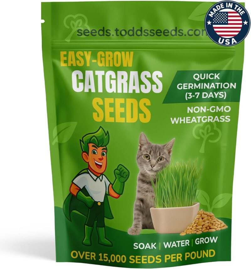 Todd's Seeds Catgrass - Cat Grass