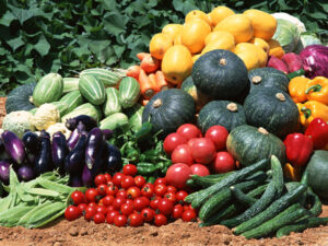 Herb Seeds;Vegetable Seeds;All