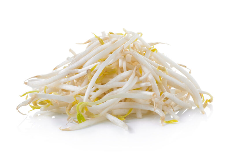 Todd's Seeds - Bundled Chemical Free Alfalfa Sprouting Seeds, 1Lb, & Mung Bean Sprouting Seeds, 1Lb, Total of 2Lbs - Image 3