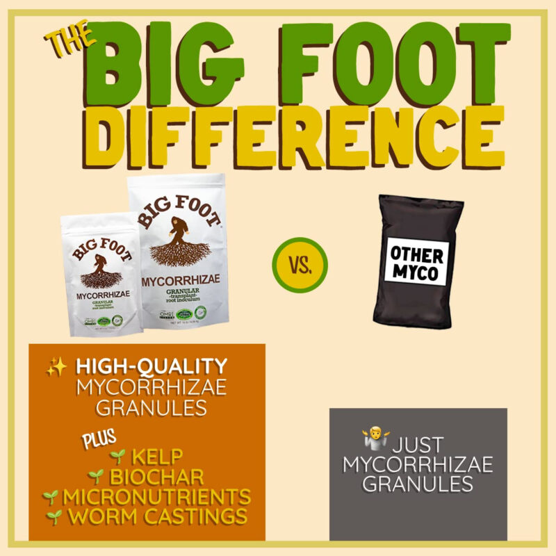 Big Foot Organic Mycorrhizal Granular Fungi Mycorrhizae Inoculant for Plant Root Growth Biochar, Worm Castings, Glomus intraradices 4 oz - Image 2