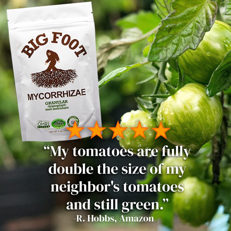 Big Foot Organic Mycorrhizal Granular Fungi Mycorrhizae Inoculant for Plant Root Growth Biochar, Worm Castings, Glomus intraradices 4 oz - Image 3