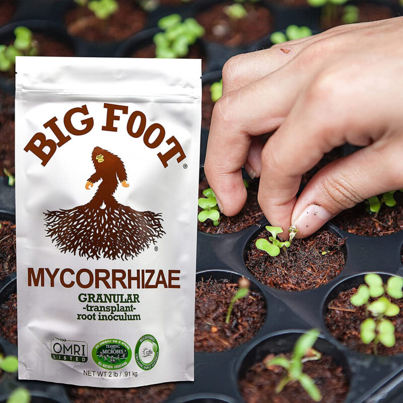Big Foot Organic Mycorrhizal Granular Fungi Mycorrhizae Inoculant for Plant Root Growth Biochar, Worm Castings, Glomus intraradices 4 oz - Image 6