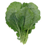 Champion Collard Seed