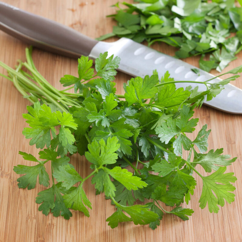 Plain / Single Parsley Heirloom Seed - Image 2
