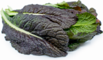 Red Giant Mustard Heirloom Seed