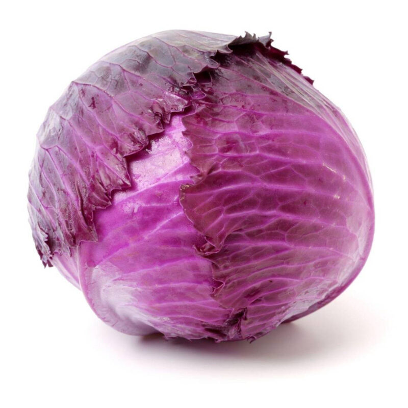 Red Acre Cabbage Seed