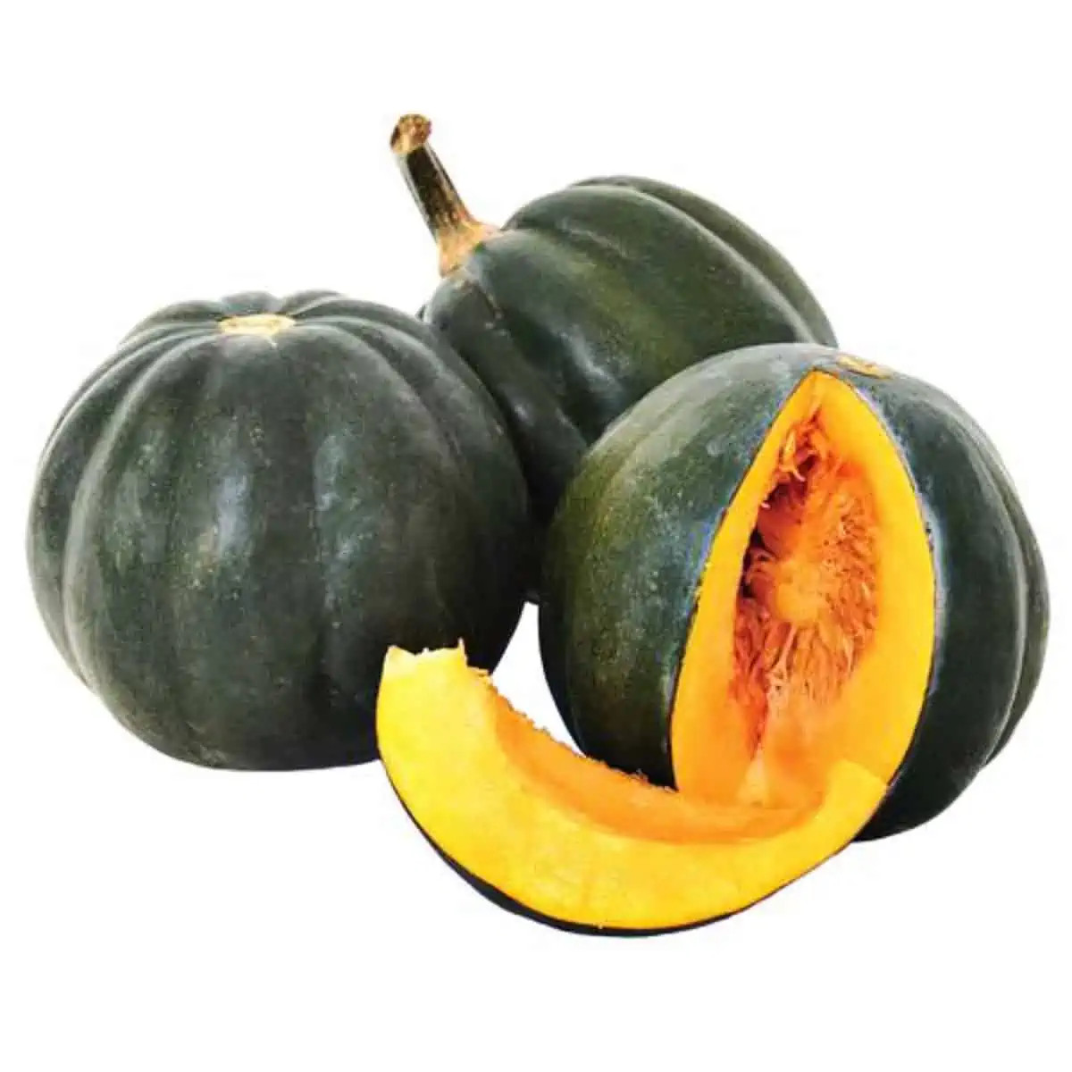 Table King Bush Winter Squash Heirloom Seed (Cucurbita spp.) - Image 4