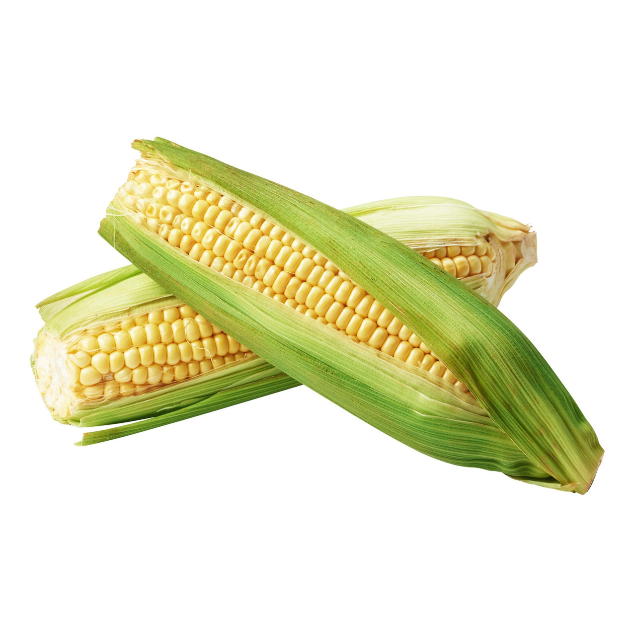 Corn -Golden X Bantam (F1 Yellow) Corn Seed (Centaurea cyanus) - Image 3