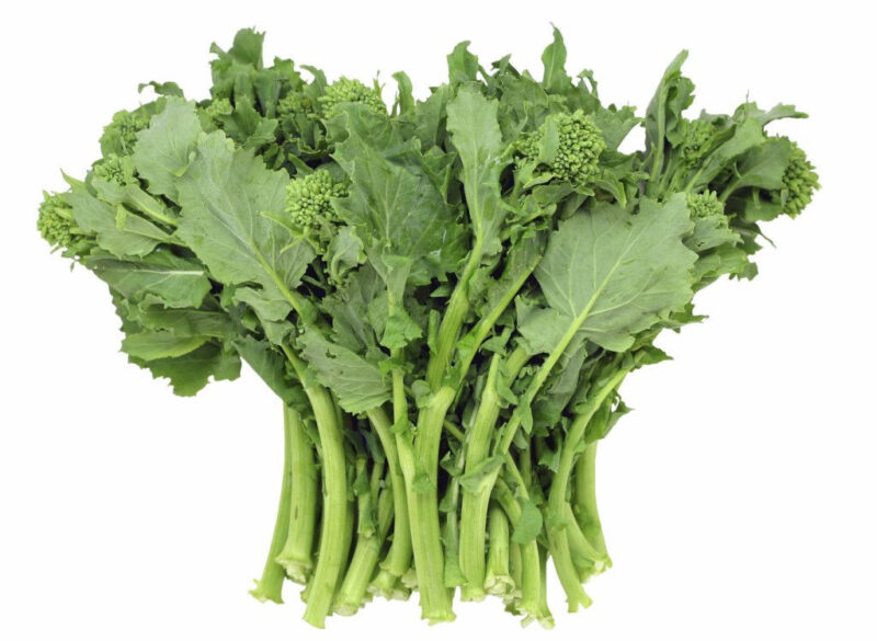 Broccoli - Raab - Spring Rapinni