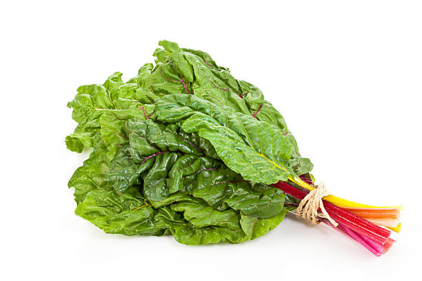 Rainbow Swiss Chard Heirloom Seed - Image 2