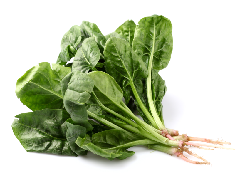 Nobel Giant Spinach Heirloom Seed