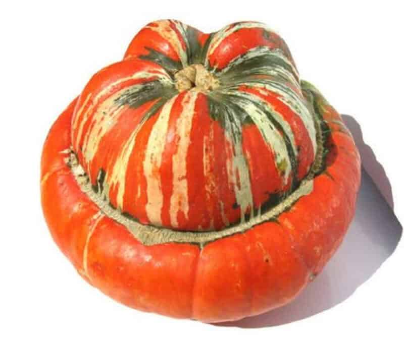 Turks Turban Gourds Seed - Image 3