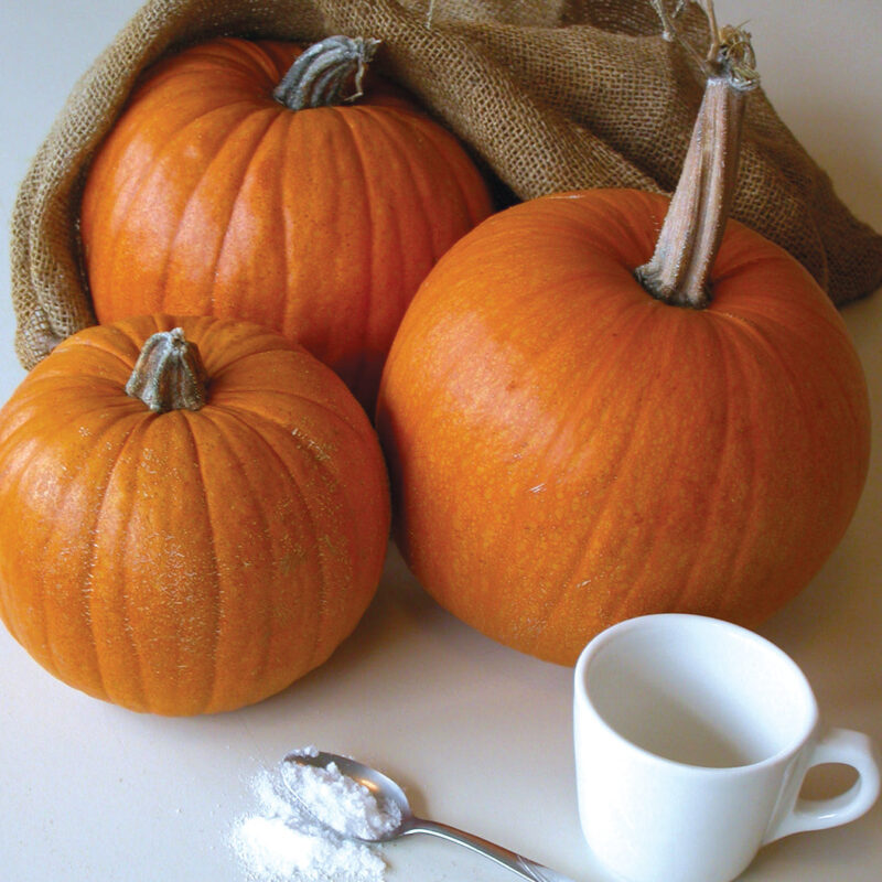 Small Sugar Pumpkin Heirloom Seed - Image 3