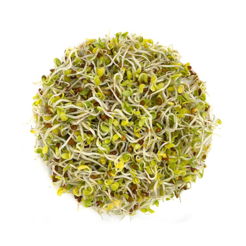 The Ultimate Sprouting Seed Sampler