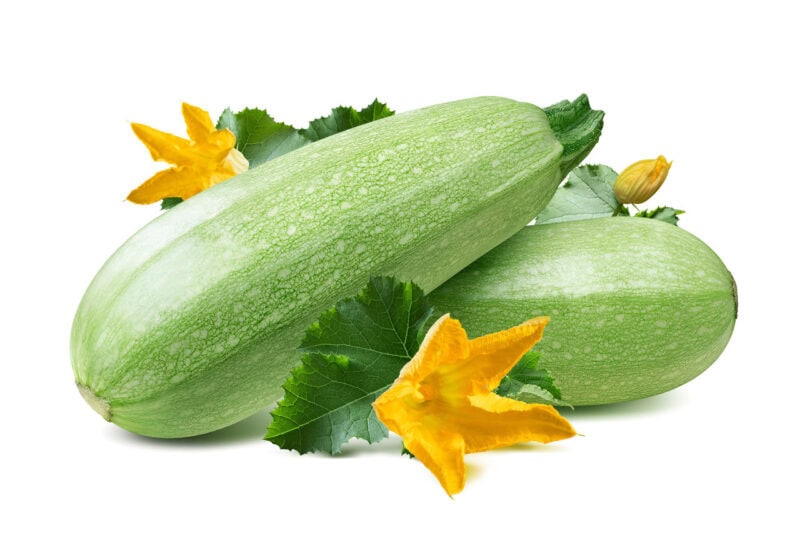 Grey Zucchini Summer Squash Heirloom Seed (Cucurbita spp.)