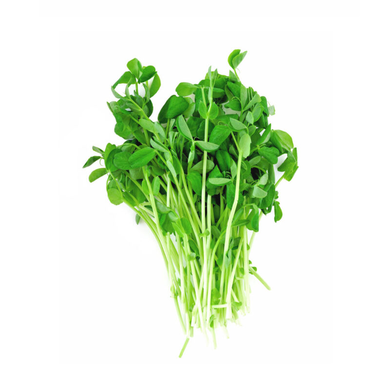 The Ultimate Sprouting Seed Sampler - Image 3