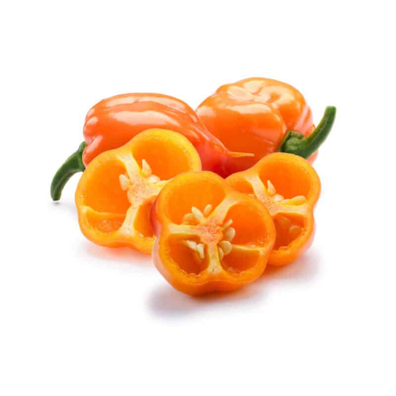 Orange Habanero Hot Pepper Heirloom Seed (Capsicum annuum) - Image 3