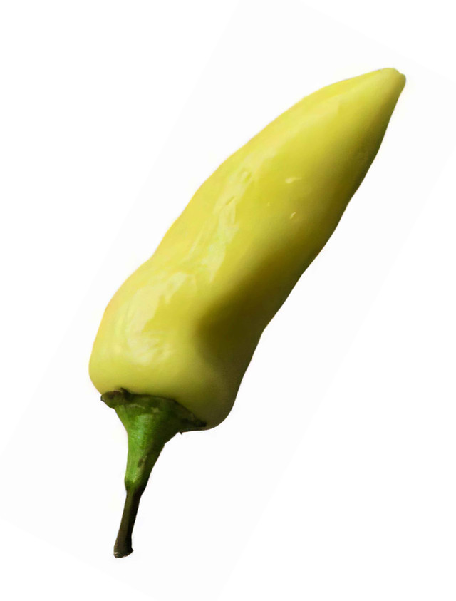 Pepper Seed Assortment Kit ~700 seeds total - Image 3