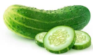 Ashley Cucumber Seed (Cucumis sativus)