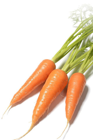 Carrot Seeds Assortment Kit ~18,400 Seeds - Image 4