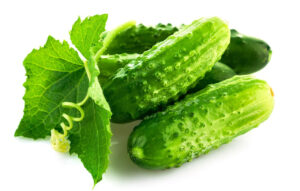 Calypso F1 Cucumber Seed - 1/4 Pound