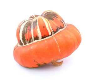 Turks Turban Gourds Seed