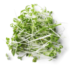 Patti's Super Antioxidant Sprouting Seed Mix, One Pound