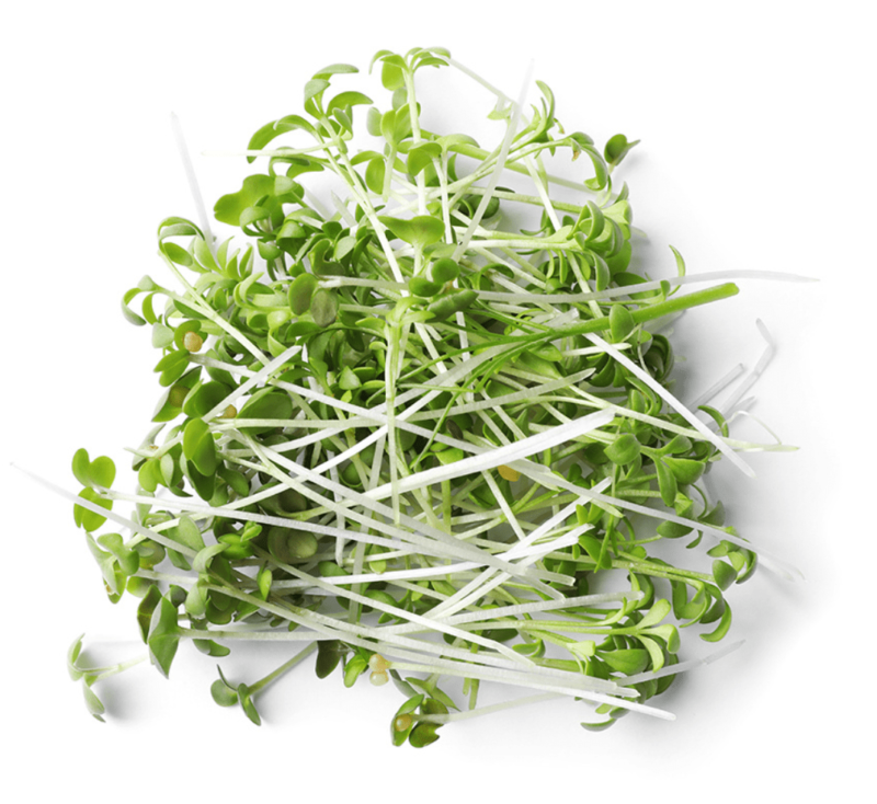 Patti's Super Antioxidant Sprouting Seed Mix, One Pound
