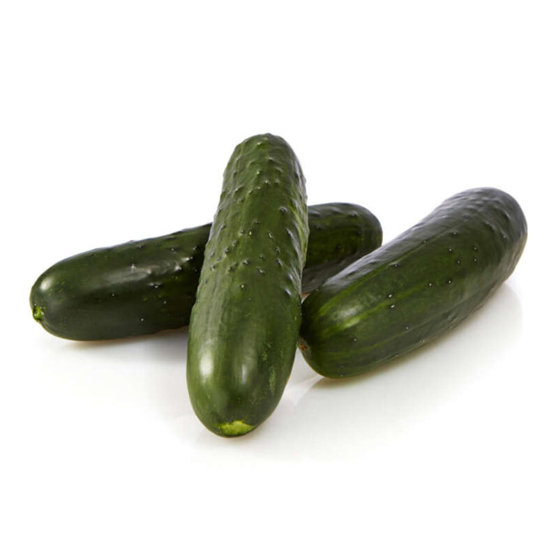 Slicing Cucumber Assorted Set of Seeds, ~1,200 Seeds - Image 4