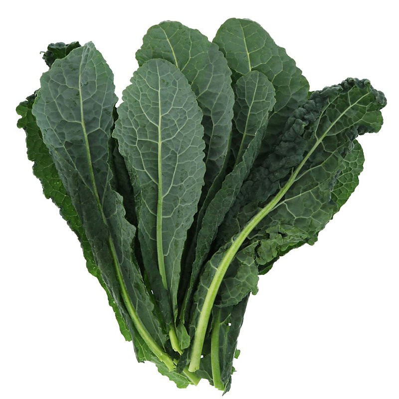 Lacinato Kale Seed - Image 3