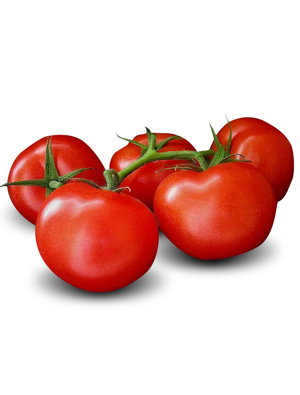 Vegetable Seeds/Tomato