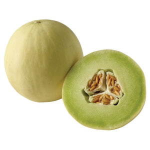 Honey Dew Green Flesh Melon Heirloom Seed