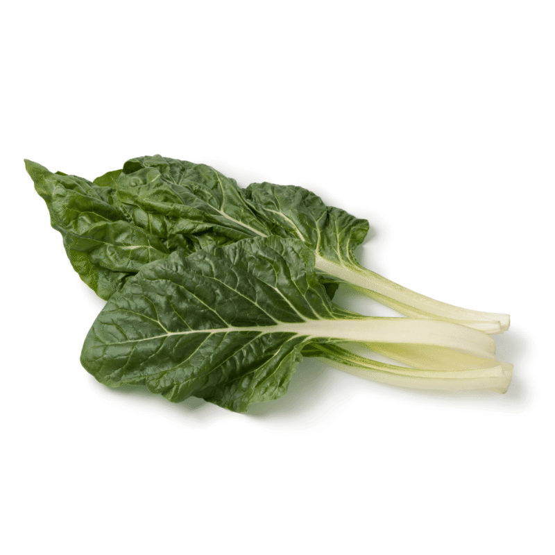 Lucullus Swiss Chard Heirloom Seed (Beta vulgaris subsp. vulgaris) - Image 4