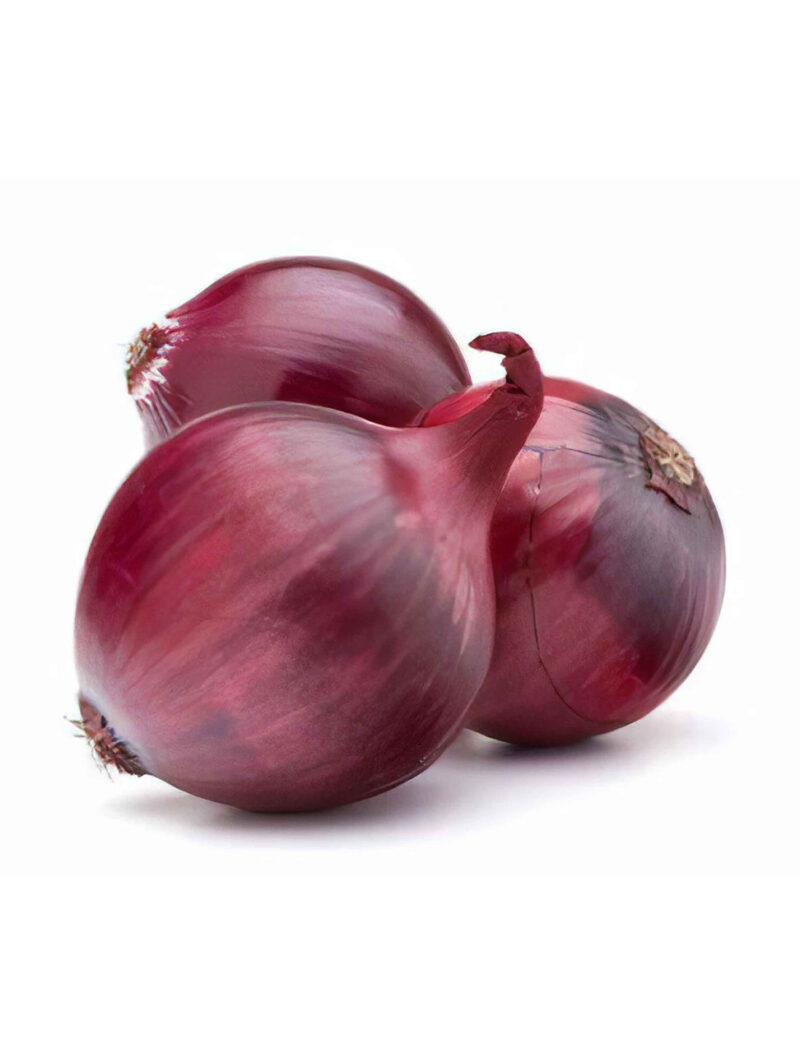 Ruby Red Long Day Onion Heirloom Seed