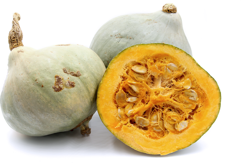 Blue Hubbard Winter Squash Heirloom Seed (Cucurbita spp.) - Image 5