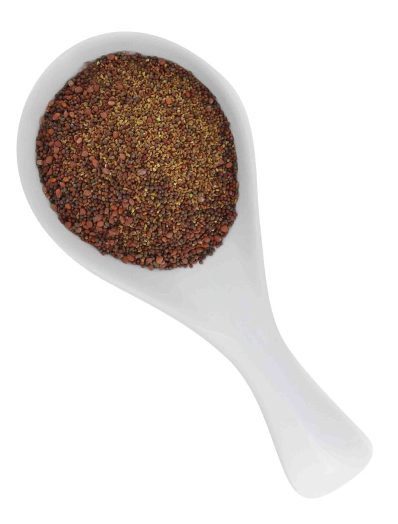 Sprouting Supplies