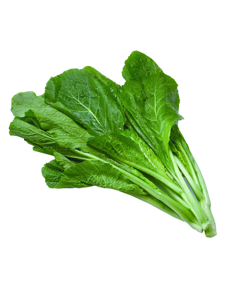 Tendergreen Mustard Heirloom Seed