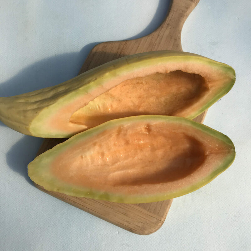 Banana Melon Heirloom Seed - Image 3