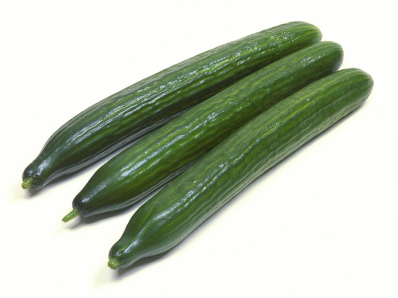Long Green Improved Cucumber Seed - Image 5