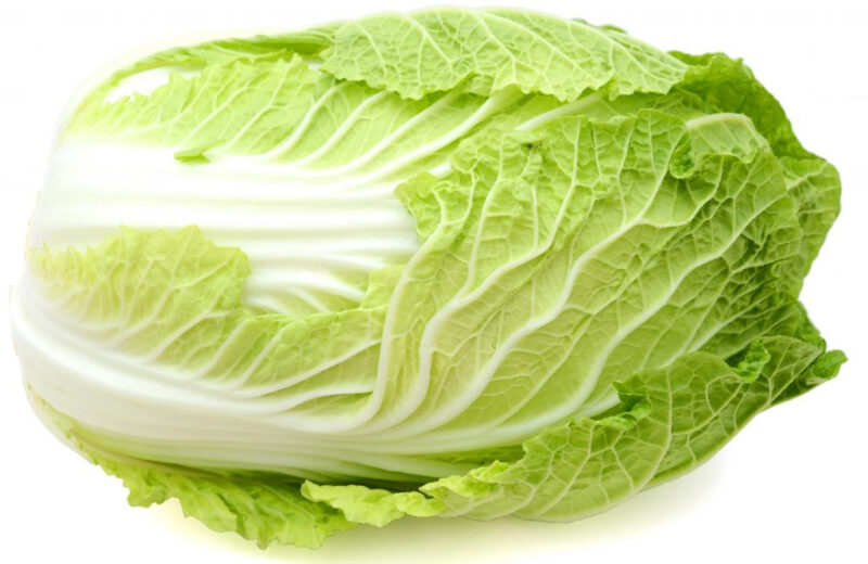 Chinese Cabbage - Michihli-Heading Cabbage Seed - Image 3