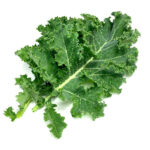 Kale, Vates Dwarf Blue Curled Scotch