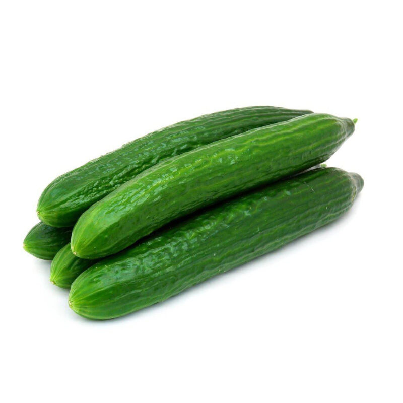 Long Green Improved Cucumber Seed - Image 4