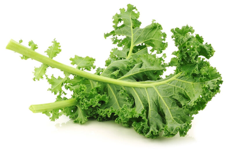 Kale, Vates Dwarf Blue Curled Scotch - Image 4