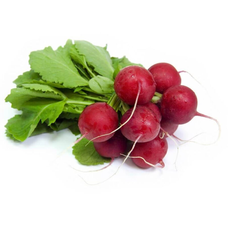 Early Scarlet Globe Radish Heirloom Seed (Raphanus sativus) - Image 4