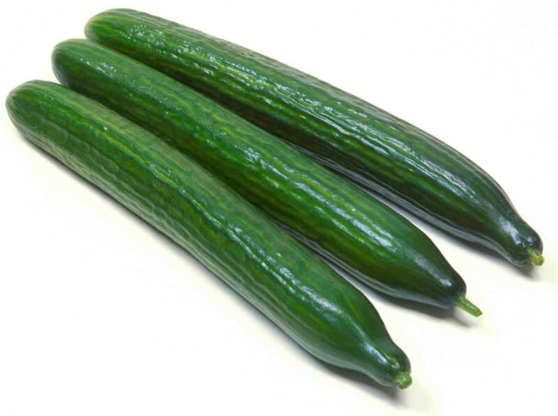 Early Spring Burpless Cucumber Seed (Cucumis sativus) - Image 2