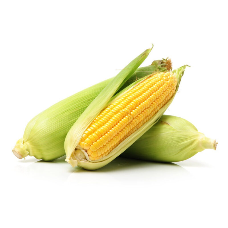 Golden Bantam 8 Row (O.P.) Corn Seed