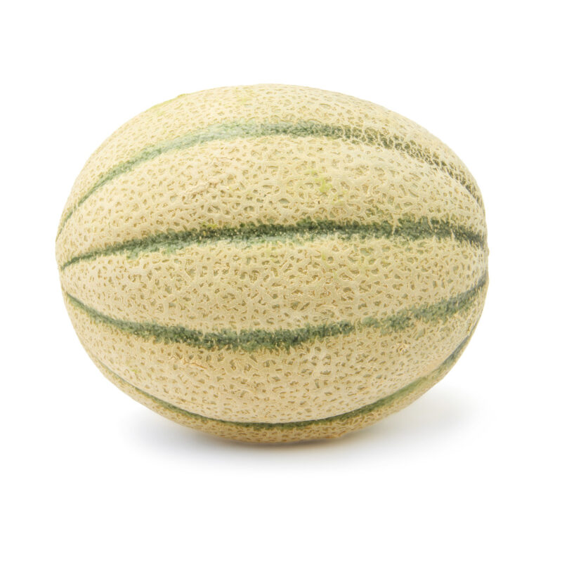 Honey Rock Melon Heirloom Seed - Image 4
